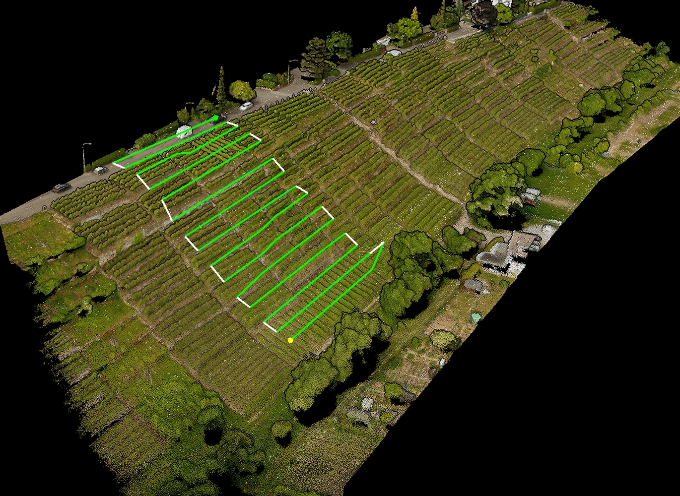 Landwirtschaftsfeld